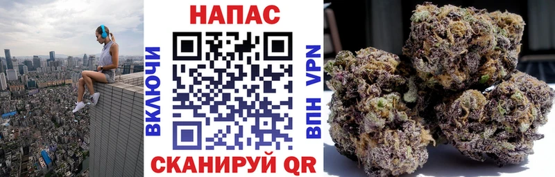 Бошки марихуана планчик  Сосновоборск 